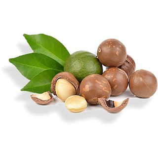 Hạt Mắc Ca Việt Bịch 500gr