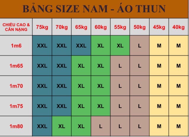 ÁO THUN NAM, 100% Cotton cực chất AN212 | BigBuy360 - bigbuy360.vn