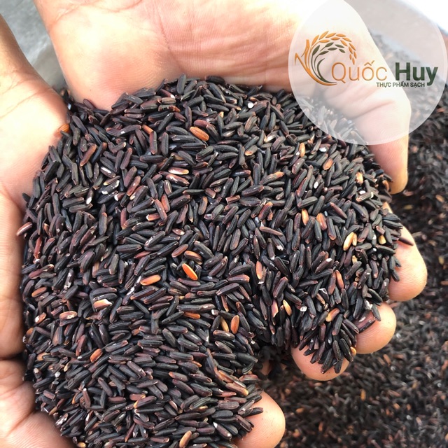 GẠO TÍM THAN SÓC TRĂNG TẠI HÀ NỘI (túi hút chân không hoăc Túi zip 1kg) | BigBuy360 - bigbuy360.vn