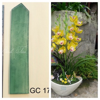 GÂN LÁ ĐỊA LAN DÀI