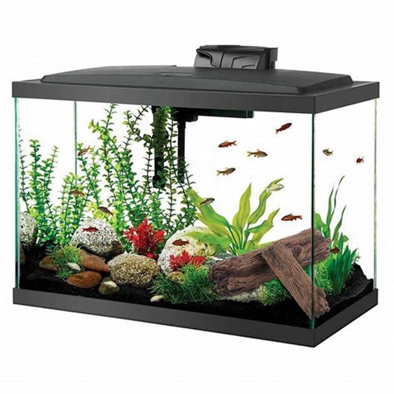 Phụ Kiện Trang Trí Bể Cá Nhỏ May Mắn Cho Betta