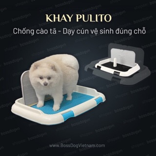 Khay vệ sinh chó phù hợp mọi dòng cún Poodle, Corgi, Pom