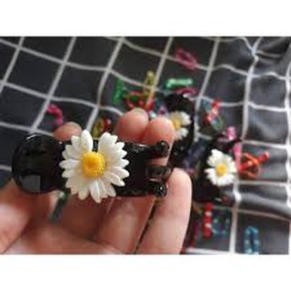 Sỉ 12 Cặp ba răng hoa cúc họa mi hot - SP001075