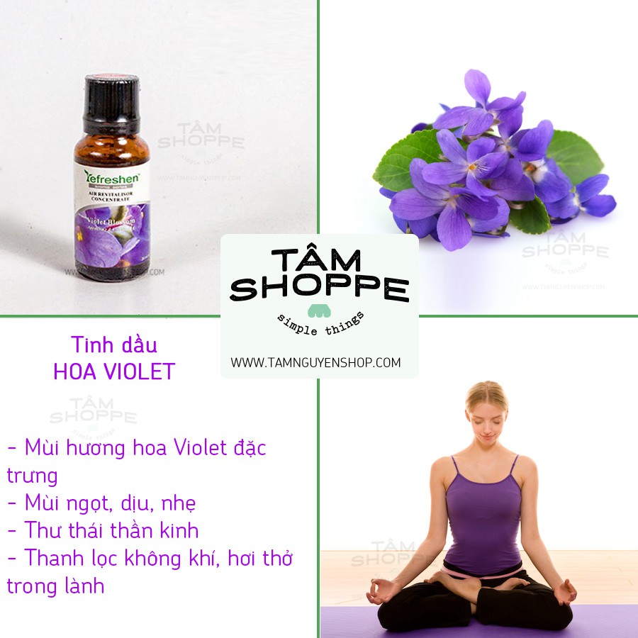 [TD THIÊN NHIÊN] Tinh dầu Hương hoa Violet Blossom Refreshen