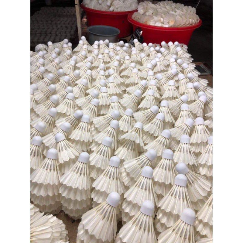 Ống cầu lông win sport giá dùng thử