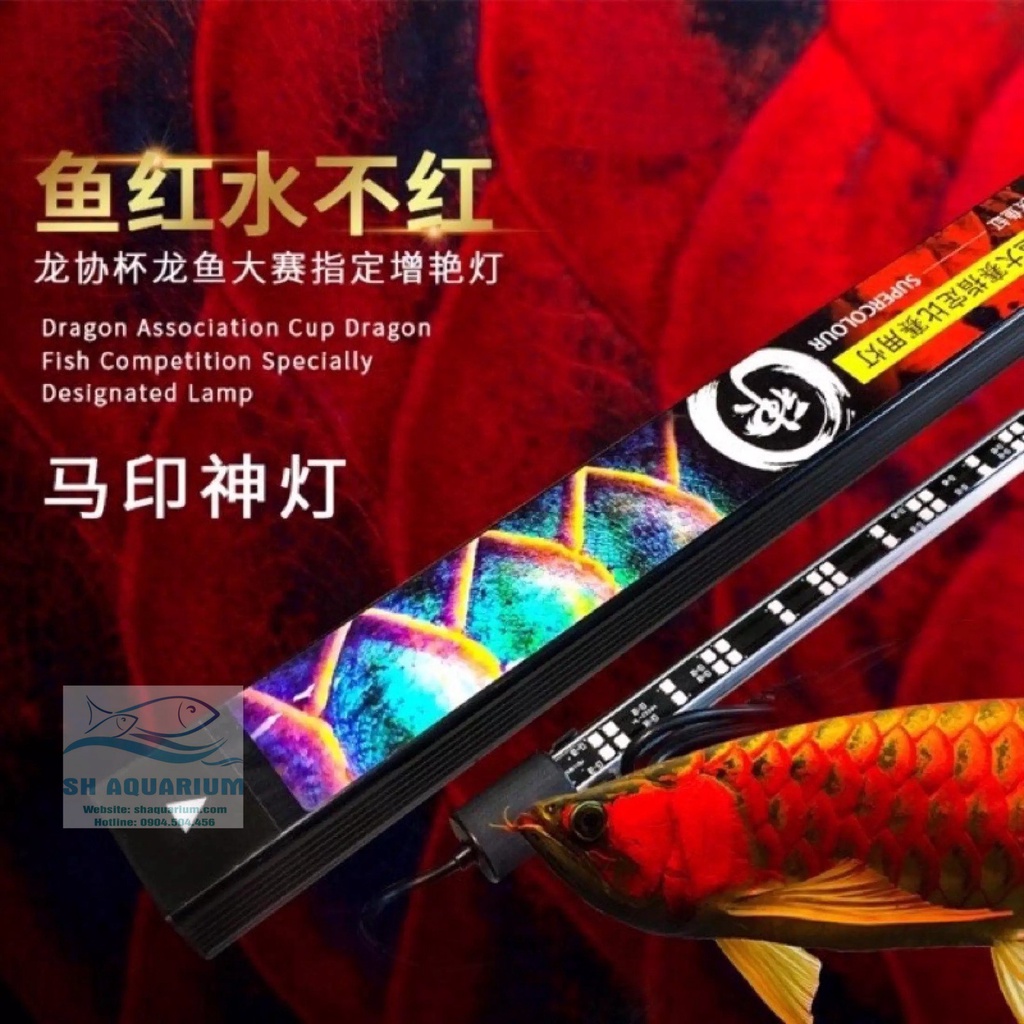 ĐÈN LED CÁ RỒNG MAYIN SUPER COLOUR CHUYÊN DỤNG CHO HUYẾT LONG 112CM