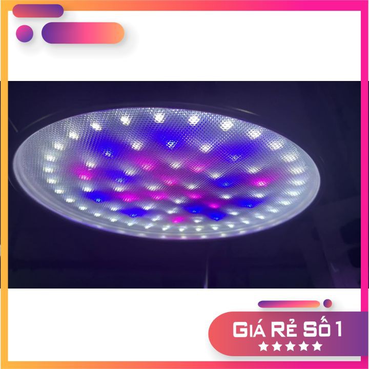 Đèn Led Đĩa Kẹp Xima 40w Ánh Sáng RGB cho bể Thủy Sinh, Bán Cạn