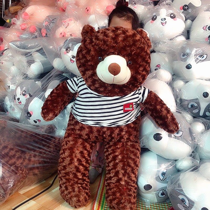 Gấu Bông Teddy, Thú Nhồi Bông Siêu To Mặc Áo Cao Cấp Chất Liệu Lông Xù Big Size