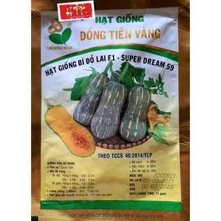 Hạt giống bí đỏ hồ lô đồng tiền vàng sd59 11gr