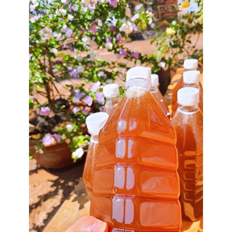 1 lít Mật ong hoa cà phê Gia Lai