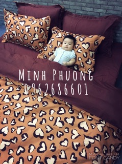 Mẫu mới 2017 