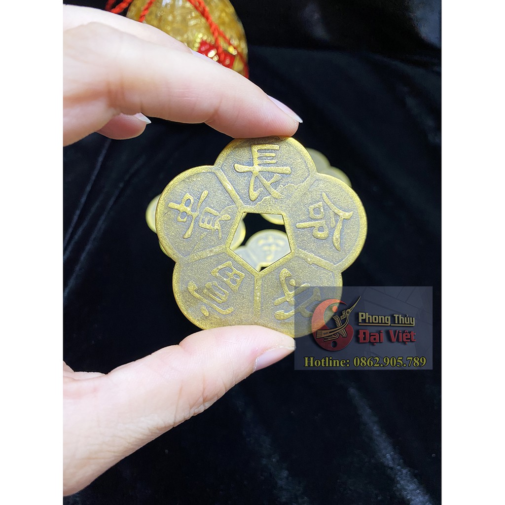 Đồng Tiên Hoa Mai 5cm