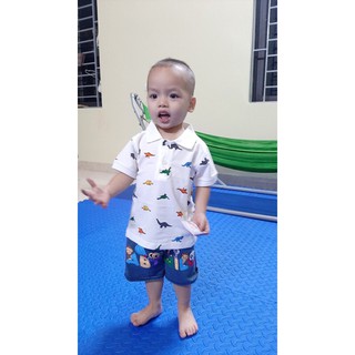 ÁO THUN POLO KHỦNG LONG BÉ TRAI