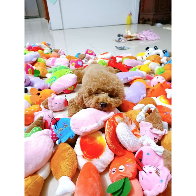 Đồ chơi bông có chíp chíp cho thú cưng