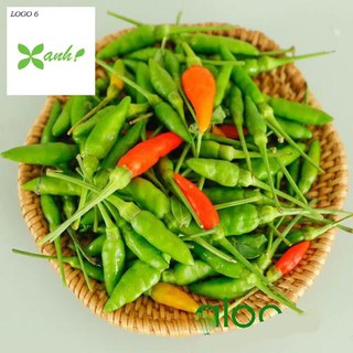 Hạt giống Ớt Xiêm (0.4g)