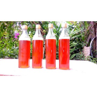 Combo 10chai vuông thủy tinh nắp nhôm 500ml
