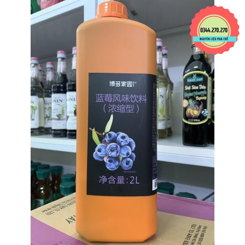 Syrup BODUO Việt quất 2L