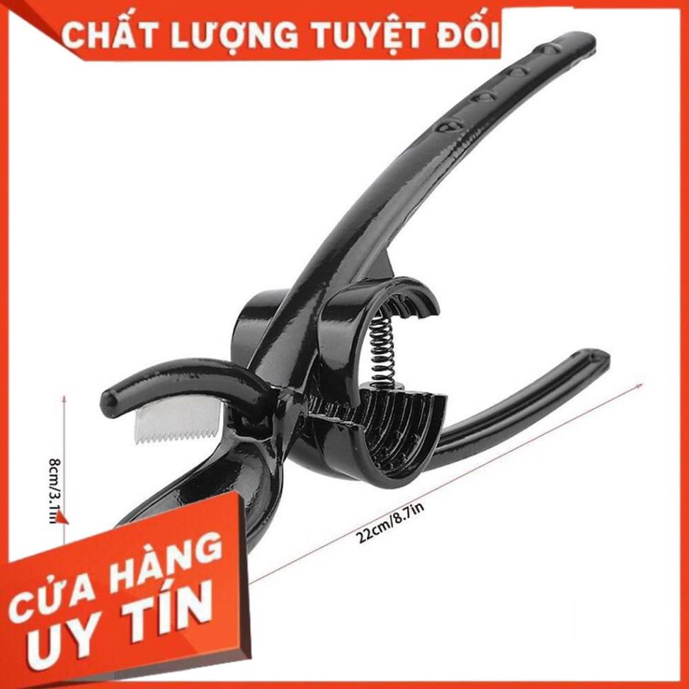 Kìm kẹp hạt óc chó đa năng