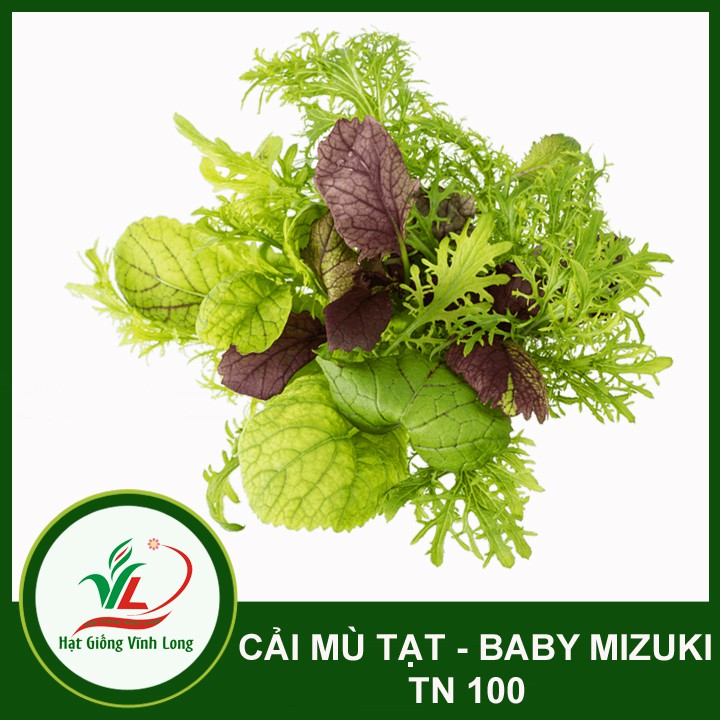 Hạt giống Cải mù tạt - baby mizuki TN 100 - 10g
