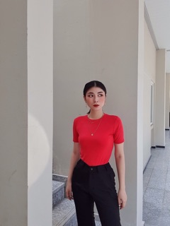Áo thun Body (Tay ngắn).