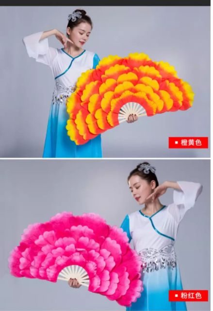 Quạt múa biểu diễn...