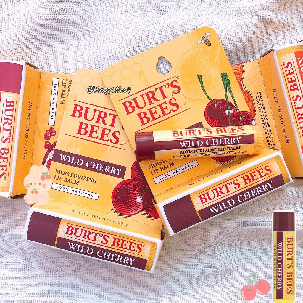 Son dưỡng không màu BURT'S BEES Moisturizing Lip Balm