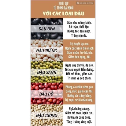 Bột ngũ Đậu dinh dưỡng bổ tủy