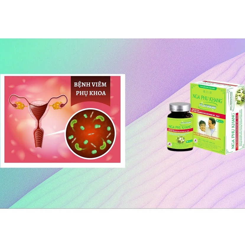 Nga phụ khang Platinum Lọ 60v hàm lượng cao hơn tốt hơn, mẫu mới, hỗ trợ giảm u nang buồng trứng, u xơ tử cung