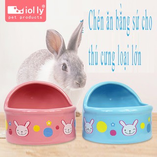 Chén ăn bằng sứ cho thú cưng nhỏ jolly