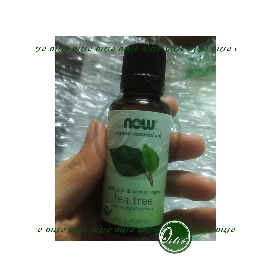 Tinh dầu tràm chà hữu cơ Now organic pure Tea tree oil