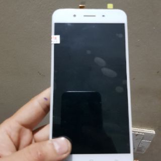 Màn vivo y66