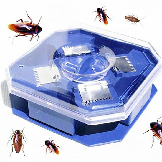 Dụng Cụ Bẫy Gián Thông Minh