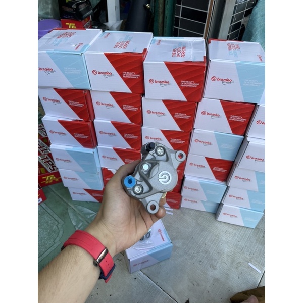 Heo BB 2 Piss A50 đối sứng