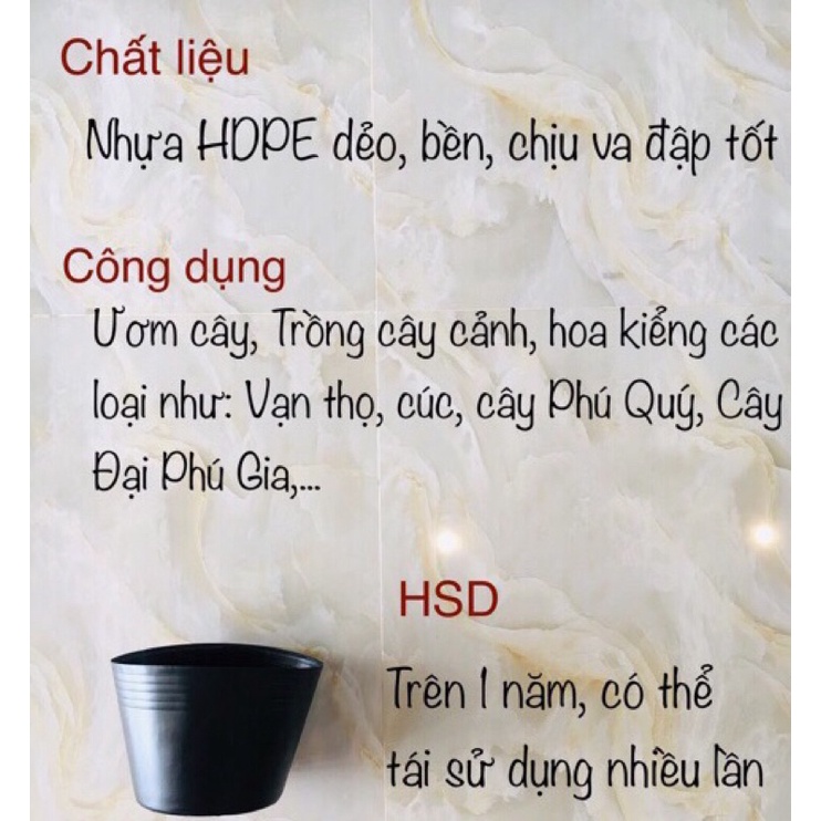 [Sỉ từ 20 cái] Chậu nhựa đen C11 trồng cây loại dày