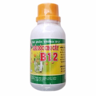 Sản phẩm giải độc, chống sốc Vitamin B12