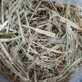 Cỏ mần trầu 500g