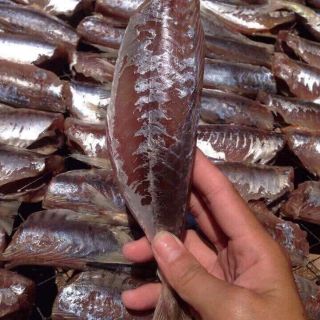 Cá nục 1 nắng (1kg )ở xa ib cho shop trước cá nắng gửi xa sợ hỏng