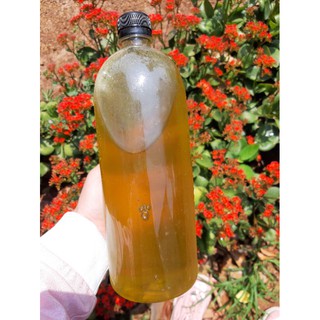 Mật ong bạc hà