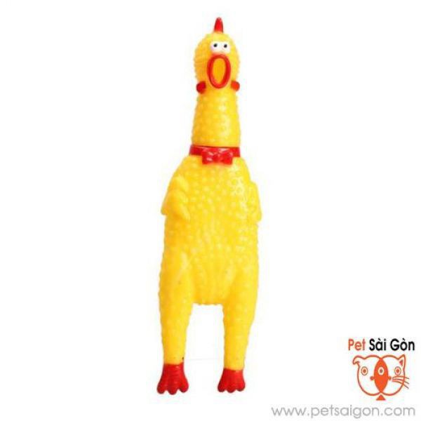 Gà A Lử, gà Bất Tử, gà kêu to size to 38cm