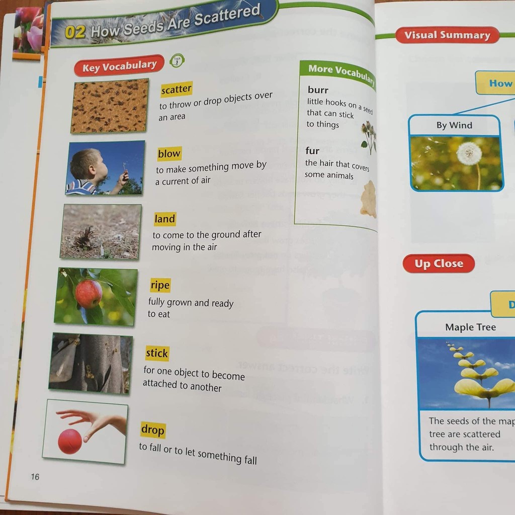 [Free ship]Bộ đẹp - Full Colours 8c+Mp3+Answer Key - America textbook reading - Hot!