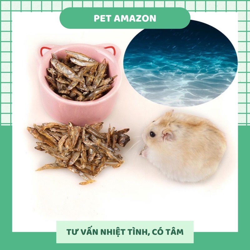 CÁ SẤY KHÔ CHO HAMSTER