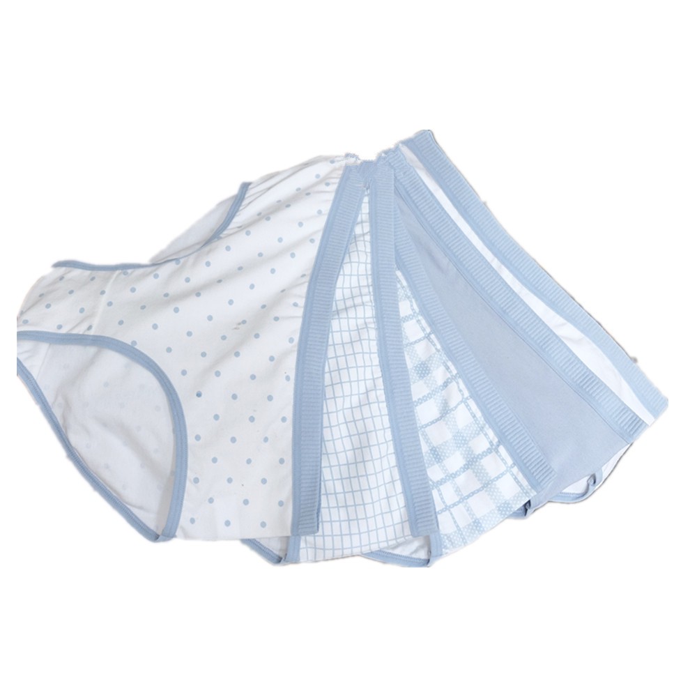 Quần Lót Cotton Thoáng Khí Phong Cách Cho Nữ 146 | BigBuy360 - bigbuy360.vn