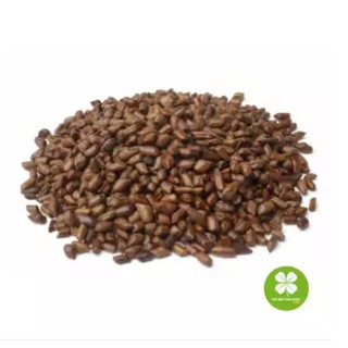 Thảo quyết minh (hạt muồng muồng) gói 1kg - OLF130