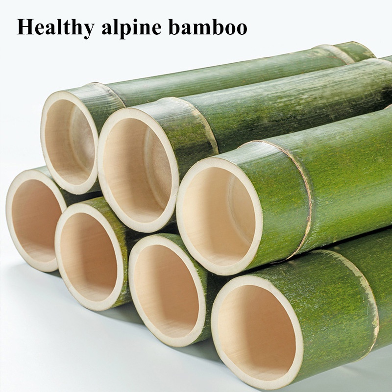 Na FEN AI Giá Gỗ Treo Áo Khoác Màu Trơn Đơn Giản Để Sàn Phòng Khách / Phòng Ngủ