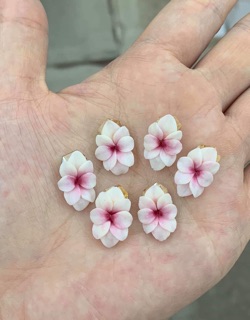 Hoa🌺bột nail
