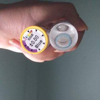 lens hàn xách tay blue - gray