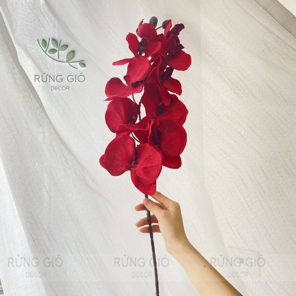 1 Cành Hoa Lan Hồ Điệp MÀU ĐỎ 10 bông to, dài 92cm, hoa lụa decor cao cấp, không kèm lọ
