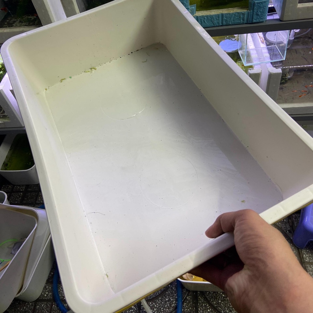 Khay nhựa nuôi cá 16l