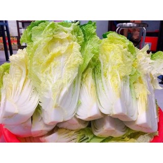 Kim chi cải thảo (sỉ 10kg)