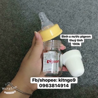 Bình uống nước Pigeon thuỷ tinh
